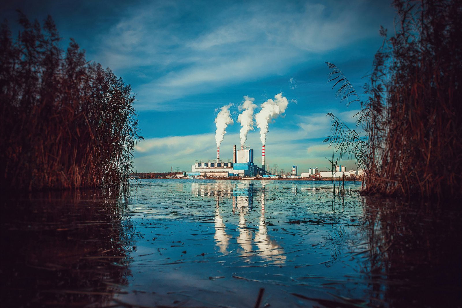 Tackling Carbon Emissions Through Innovation
